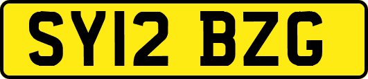 SY12BZG