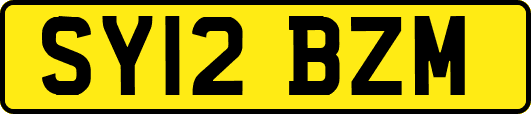SY12BZM