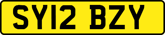 SY12BZY
