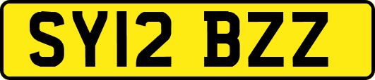 SY12BZZ