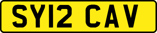 SY12CAV