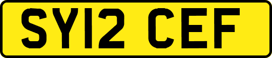 SY12CEF