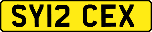 SY12CEX