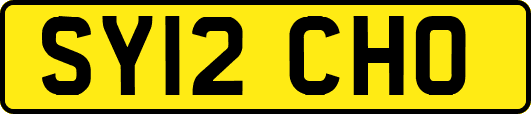SY12CHO