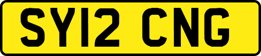 SY12CNG
