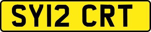 SY12CRT