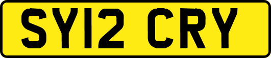 SY12CRY