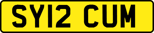 SY12CUM