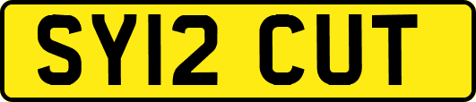 SY12CUT