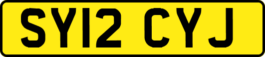 SY12CYJ