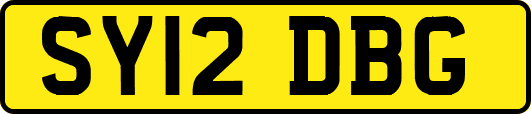 SY12DBG