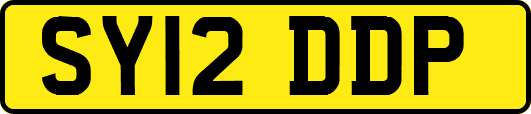 SY12DDP