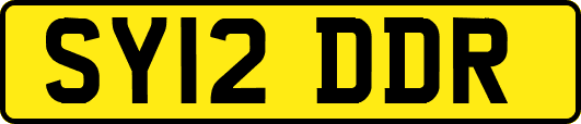 SY12DDR
