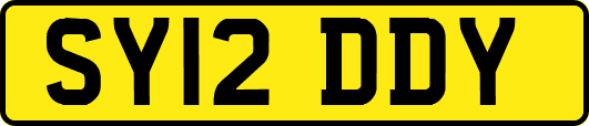SY12DDY