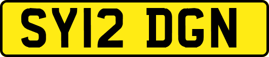 SY12DGN