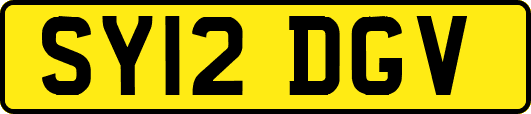 SY12DGV