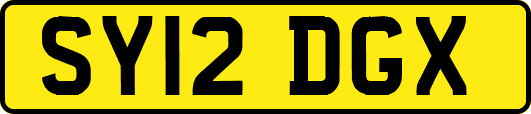 SY12DGX