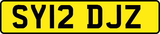 SY12DJZ