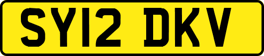 SY12DKV