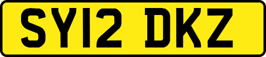 SY12DKZ