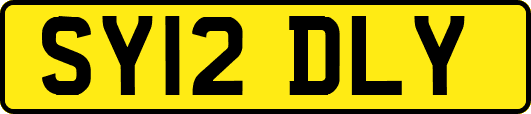 SY12DLY