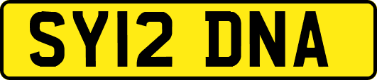 SY12DNA
