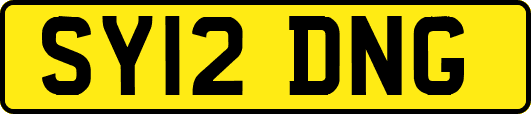 SY12DNG