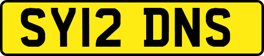 SY12DNS