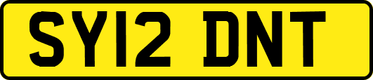 SY12DNT