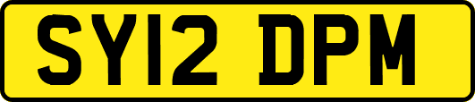 SY12DPM