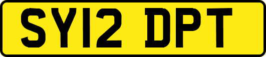 SY12DPT