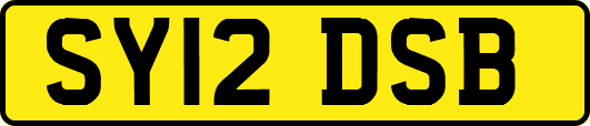 SY12DSB