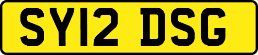 SY12DSG