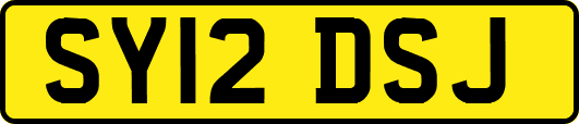 SY12DSJ
