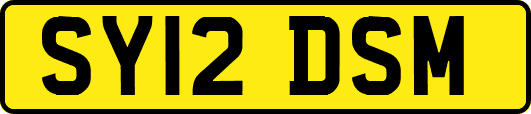 SY12DSM