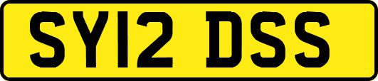 SY12DSS