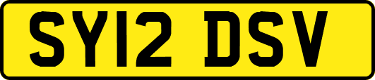 SY12DSV