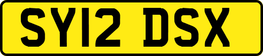 SY12DSX