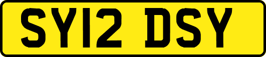 SY12DSY