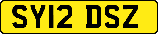 SY12DSZ