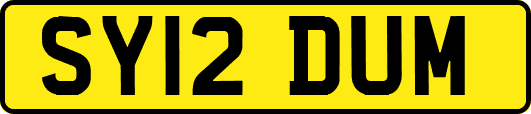 SY12DUM