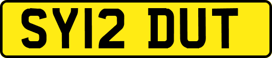 SY12DUT