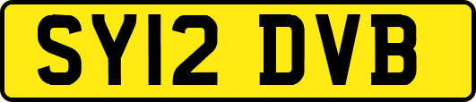 SY12DVB
