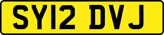SY12DVJ