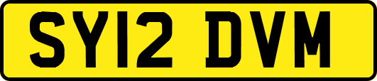 SY12DVM
