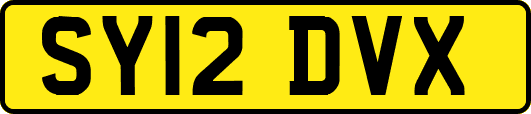SY12DVX