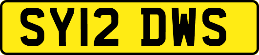 SY12DWS