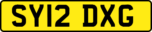SY12DXG
