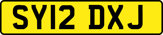 SY12DXJ