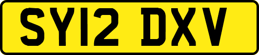 SY12DXV